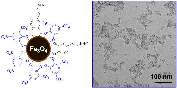 Magnetic Nanoparticles